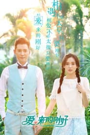 Pôster de 爱,来的刚好