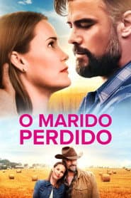 Póster de O Marido Perdido