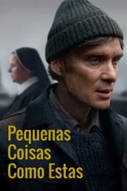 Poster for Pequenas Coisas Como Estas