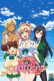 Póster de Hajimete no Gal