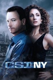 Affiche de CSI: Nova York