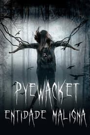 Pôster de Pyewacket: Entidade Maligna
