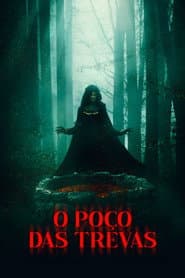 Póster de O Poço das Trevas