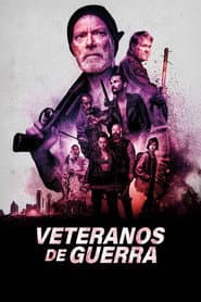 Poster for Veteranos de Guerra