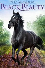 Affiche de The Adventures of Black Beauty