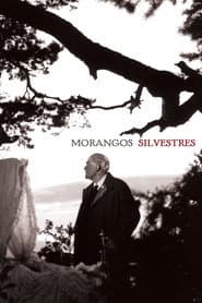 Pôster de Morangos Silvestres