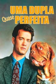 Póster de Uma Dupla Quase Perfeita