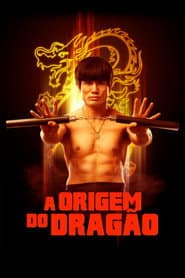 Poster for A Origem do Dragão