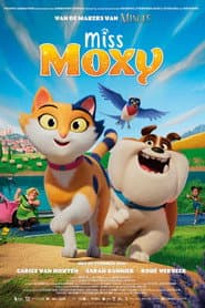 Affiche de Senhorita Moxy
