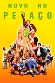 Poster for Novo no Pedaço