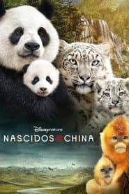 Poster for Nascidos na China