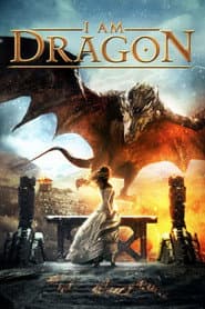 Affiche de Dragon inside me