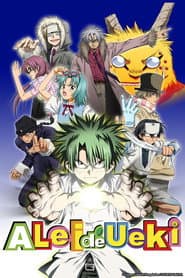 Pôster de A Lei de Ueki