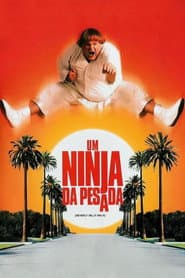 Póster de Um Ninja da Pesada