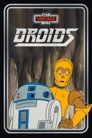 Póster de Star Wars Droids: Las aventuras de R2D2 y C3PO
