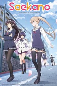 Póster de Saenai Heroine no Sodatekata