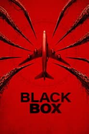 Póster de Black Box: Vuelo 298