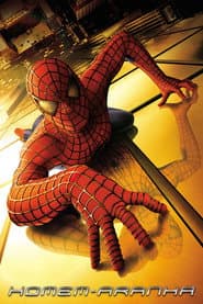 Póster de El hombre araña