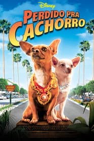 Póster de Un chihuahua en Beverly Hills
