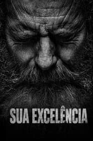 Pôster de Sua Excelência