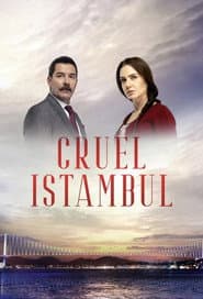 Affiche de Cruel Istambul