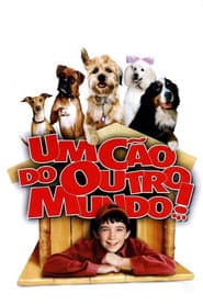 Póster de Um Cão de Outro Mundo
