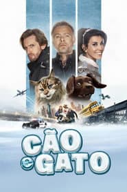 Póster de Cão e Gato