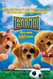 Poster for Air Buddies