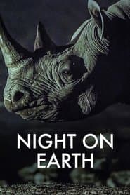 Pôster de A Terra à Noite
