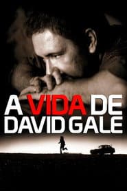 Pôster de A Vida de David Gale