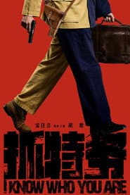 Pôster de 抓特务