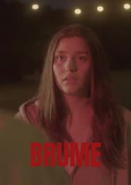 Poster for BRUME