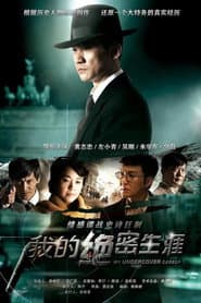 Affiche de 我的绝密生涯