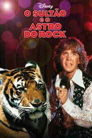 Affiche de O Sultão e o Astro do Rock