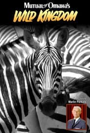 Affiche de Mutual of Omaha's Wild Kingdom