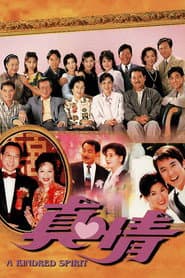 Poster for 真情