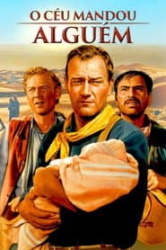 Affiche de O Céu Mandou Alguém
