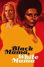 Affiche de Black Mama, White Mama