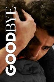 Póster de El adiós