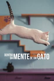 Poster for Dentro da Mente de um Gato