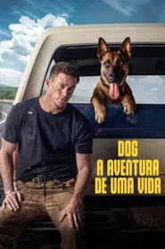 Póster de Dog - A Aventura de Uma Vida