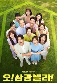 Poster for Homemade Love Story