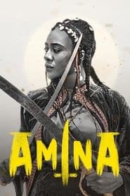 Pôster de Amina