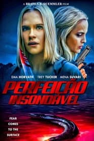 Poster for Perfeição Insondável