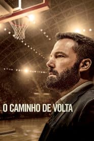 Póster de O Caminho de Volta