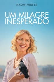 Póster de Um Milagre Inesperado