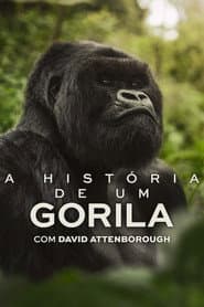 Póster de Una historia de gorilas contada por David Attenborough