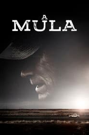 Affiche de A Mula