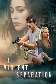 Affiche de A Violent Separation