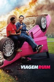 Affiche de Bad Trip